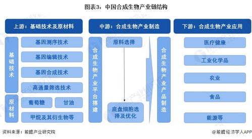 2024年中國(guó)合成生物產(chǎn)業(yè)全景圖譜 規(guī)模、布局與技術(shù)路線解析